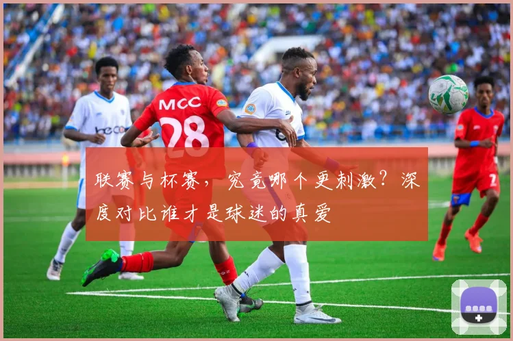 联赛与杯赛,究竟哪个更刺激?深度对比谁才是球迷的真爱