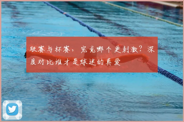 联赛与杯赛,究竟哪个更刺激?深度对比谁才是球迷的真爱