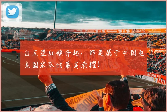 当五星红旗升起，那是属于中国电竞国家队的最高荣耀！